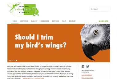 Avian Vet Website