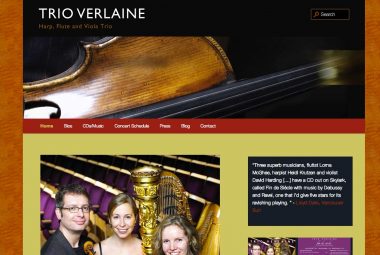 Musican's Website